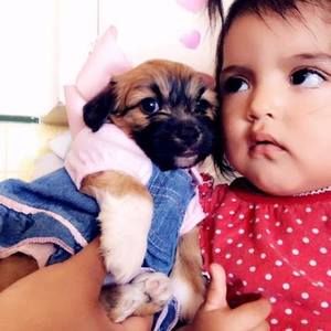 Meet your Posher, Alfredo